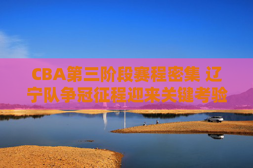 CBA第三阶段赛程密集 辽宁队争冠征程迎来关键考验，CBA第三阶段赛程密集 辽宁队争冠迎关键考验