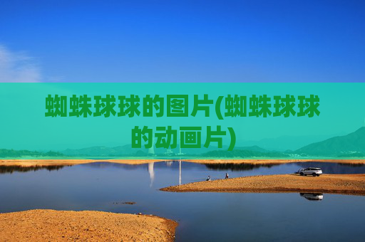 蜘蛛球球的图片(蜘蛛球球的动画片)