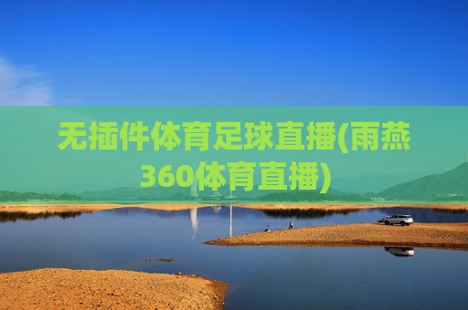 无插件体育足球直播(雨燕360体育直播)