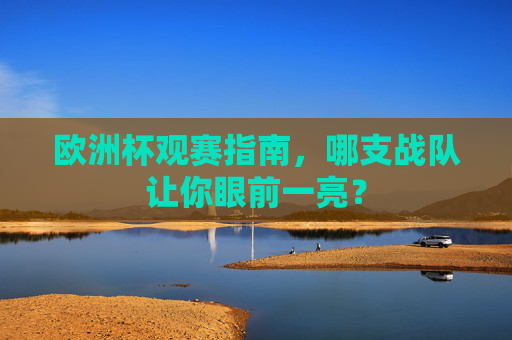 欧洲杯观赛指南,哪支战队让你眼前一亮?