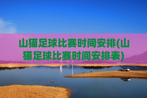 山猫足球比赛时间安排(山猫足球比赛时间安排表)
