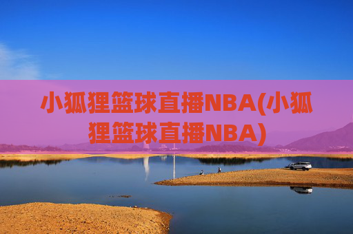小狐狸篮球直播NBA(小狐狸篮球直播NBA)