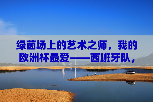 绿茵场上的艺术之师,我的欧洲杯最爱——西班牙队,绿茵艺术之师,我的欧洲杯最爱——西班牙队