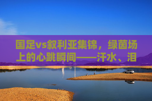 国足vs叙利亚集锦，绿茵场上的心跳瞬间——汗水、泪水与未竟的梦，国足vs叙利亚，绿茵心跳，汗水泪水未竟梦