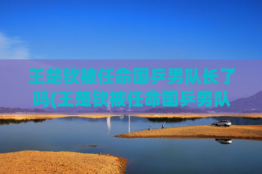 王楚钦被任命国乒男队长了吗(王楚钦被任命国乒男队长了吗)