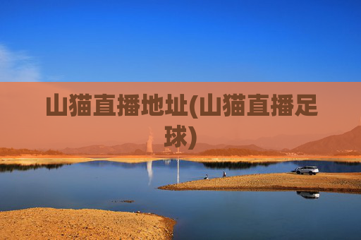山猫直播地址(山猫直播足球)