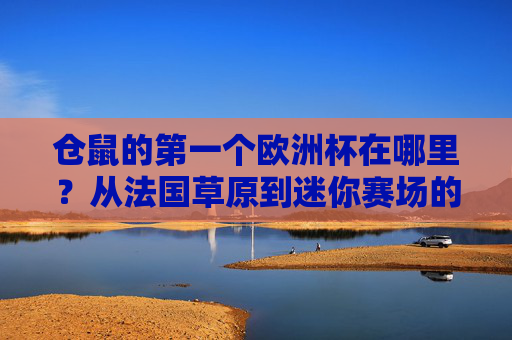 仓鼠的第一个欧洲杯在哪里?从法国草原到迷你赛场的奇妙邂逅,仓鼠的第一个欧洲杯,法国草原到迷你赛场的奇妙邂逅