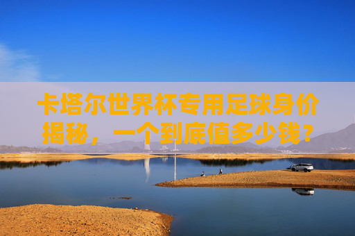 卡塔尔世界杯专用足球身价揭秘,一个到底值多少钱?