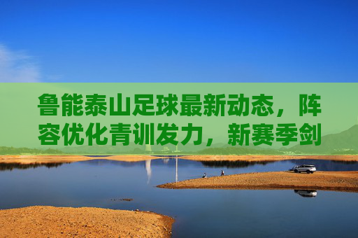 鲁能泰山足球最新动态,阵容优化青训发力,新赛季剑指联赛前列