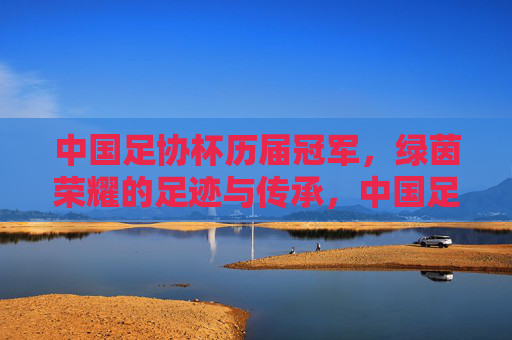 中国足协杯历届冠军,绿茵荣耀的足迹与传承,中国足协杯历届冠军,绿茵荣耀的足迹与传承