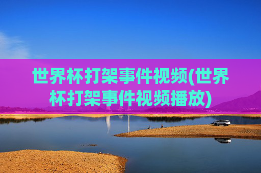 世界杯打架事件视频(世界杯打架事件视频播放)