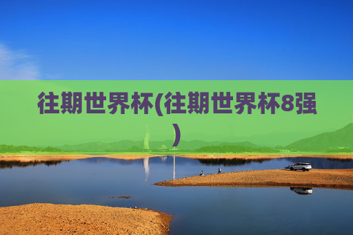 往期世界杯(往期世界杯8强)