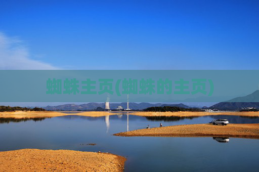 蜘蛛主页(蜘蛛的主页)
