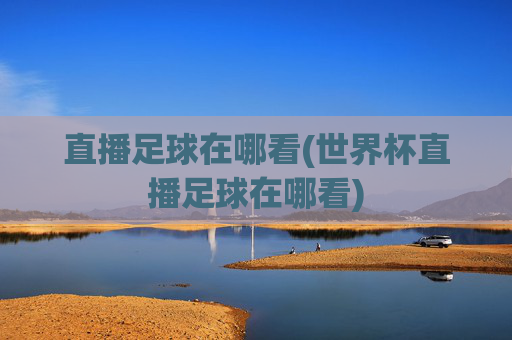 直播足球在哪看(世界杯直播足球在哪看)