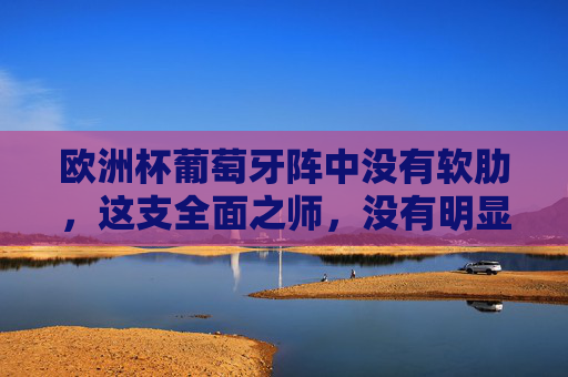 欧洲杯葡萄牙阵中没有软肋,这支全面之师,没有明显短板,欧洲杯葡萄牙,全面之师无软肋