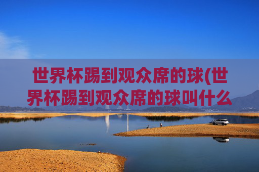 世界杯踢到观众席的球(世界杯踢到观众席的球叫什么)世界杯踢到观众席的球