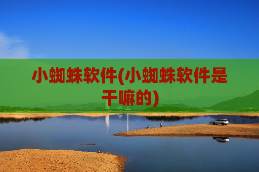 小蜘蛛软件(小蜘蛛软件是干嘛的)