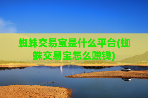 蜘蛛交易宝是什么平台(蜘蛛交易宝怎么赚钱)