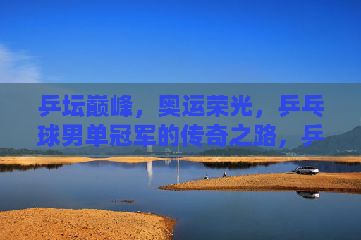 乒坛巅峰，奥运荣光，乒乓球男单冠军的传奇之路，乒坛巅峰奥运荣光，男单冠军的传奇之路