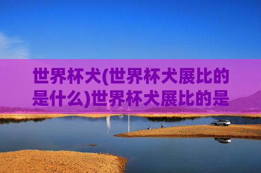 世界杯犬(世界杯犬展比的是什么)世界杯犬展比的是什么?