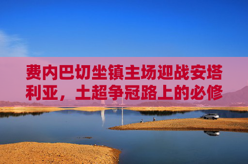 费内巴切坐镇主场迎战安塔利亚,土超争冠路上的必修课,费内巴切主场战安塔利亚,土超争冠必修课
