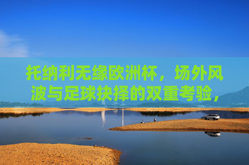 托纳利无缘欧洲杯,场外风波与足球抉择的双重考验,托纳利无缘欧洲杯,场外风波与足球抉择的双重考验