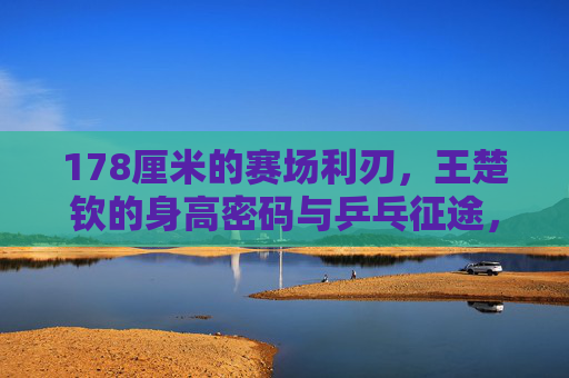 178厘米的赛场利刃,王楚钦的身高密码与乒乓征途,王楚钦的身高密码,178厘米赛场利刃的乒乓征途