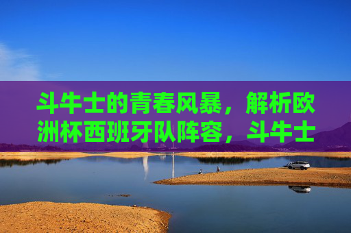 斗牛士的青春风暴,解析欧洲杯西班牙队阵容,斗牛士青春风暴,欧洲杯西班牙队阵容解析