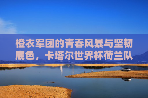 橙衣军团的青春风暴与坚韧底色，卡塔尔世界杯荷兰队阵容解析，橙衣军团青春风暴与坚韧底色，卡塔尔世界杯荷兰队阵容解析