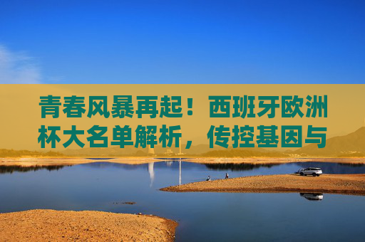 青春风暴再起！西班牙欧洲杯大名单解析，传控基因与新生力量的碰撞，青春风暴再起！西班牙欧洲杯大名单，传控基因与新生力量的碰撞