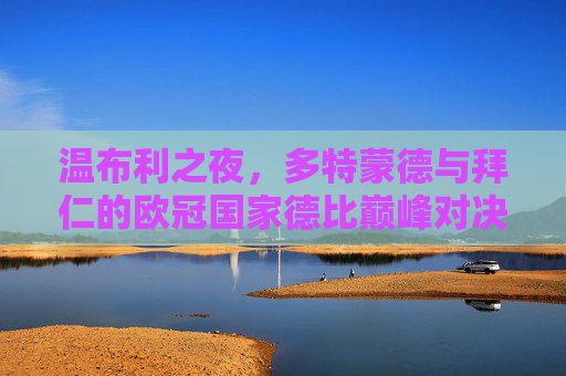 温布利之夜,多特蒙德与拜仁的欧冠国家德比巅峰对决,温布利之夜,多特蒙德拜仁欧冠国家德比巅峰对决