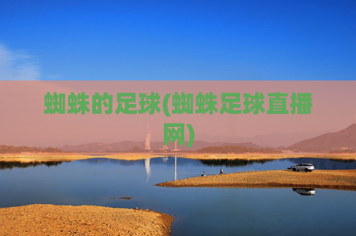 蜘蛛的足球(蜘蛛足球直播网)