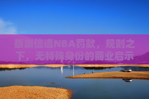 蔡崇信遭NBA罚款，规则之下，无特殊身份的商业启示，规则之下无特殊身份，蔡崇信NBA罚款的商业启示