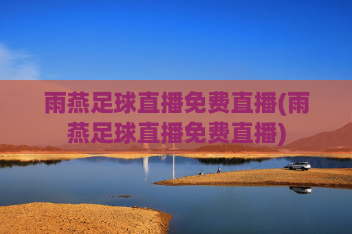 雨燕足球直播免费直播(雨燕足球直播免费直播)