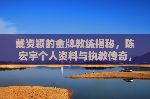 戴资颖的金牌教练揭秘，陈宏宇个人资料与执教传奇，戴资颖金牌教练陈宏宇，个人资料与执教传奇揭秘