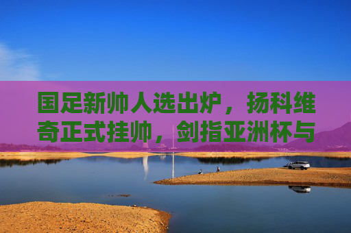 国足新帅人选出炉，扬科维奇正式挂帅，剑指亚洲杯与世预赛新征程，扬科维奇正式挂帅国足，剑指亚洲杯与世预赛新征程
