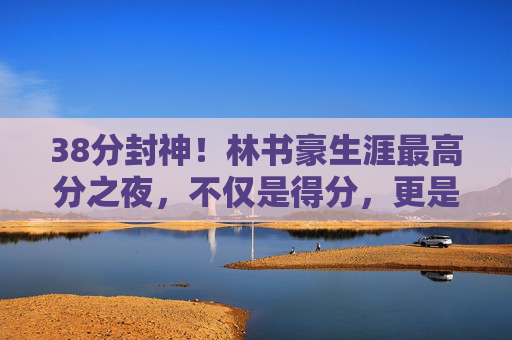 38分封神!林书豪生涯最高分之夜,不仅是得分,更是梦想燃烧的证明,林书豪38分生涯最高分,梦想燃烧的证明