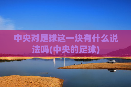 中央对足球这一块有什么说法吗(中央的足球)
