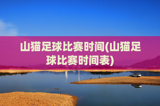 山猫足球比赛时间(山猫足球比赛时间表)