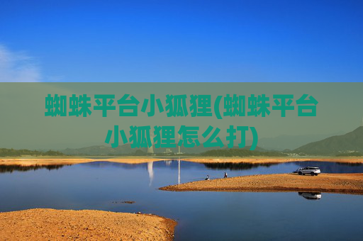 蜘蛛平台小狐狸(蜘蛛平台小狐狸怎么打)