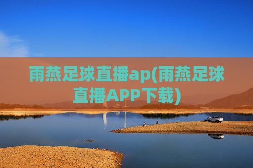 雨燕足球直播ap(雨燕足球直播APP下载)