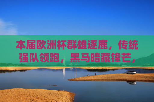 本届欧洲杯群雄逐鹿，传统强队领跑，黑马暗藏锋芒，欧洲杯群雄逐鹿，强队领跑，黑马暗藏锋芒