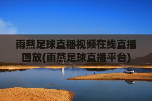 雨燕足球直播视频在线直播回放(雨燕足球直播平台)