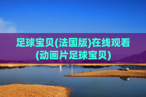 足球宝贝(法国版)在线观看(动画片足球宝贝)