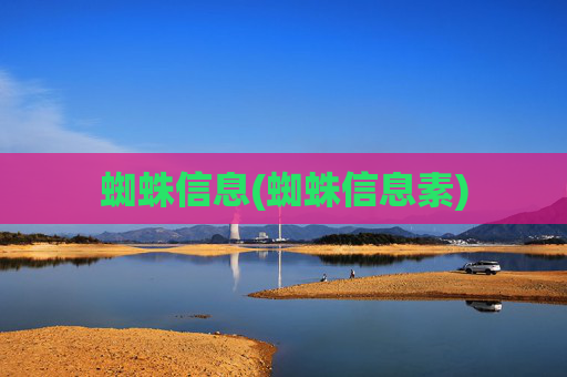 蜘蛛信息(蜘蛛信息素)