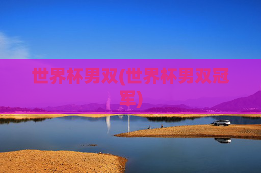 世界杯男双(世界杯男双冠军)