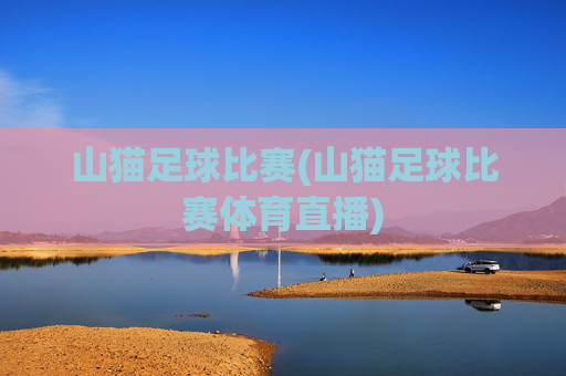 山猫足球比赛(山猫足球比赛体育直播)