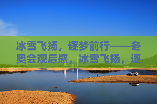 冰雪飞扬，逐梦前行——冬奥会观后感，冰雪飞扬，逐梦前行——冬奥会观后感