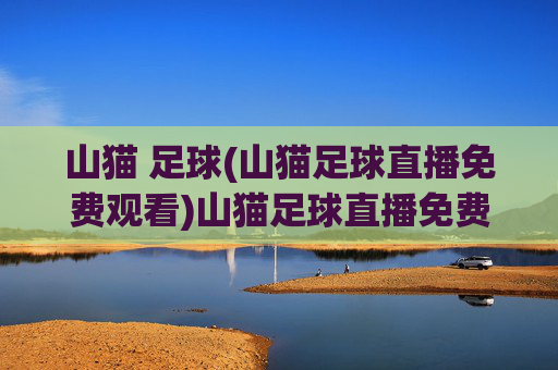 山猫 足球(山猫足球直播免费观看)山猫足球直播免费观看