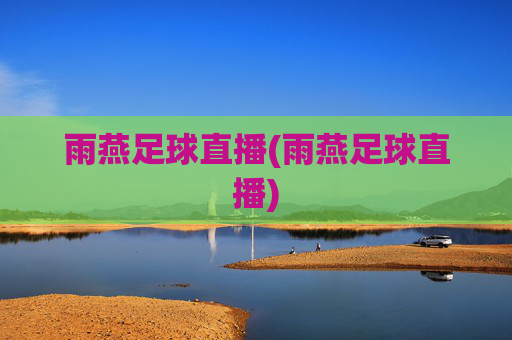 雨燕足球直播(雨燕足球直播)